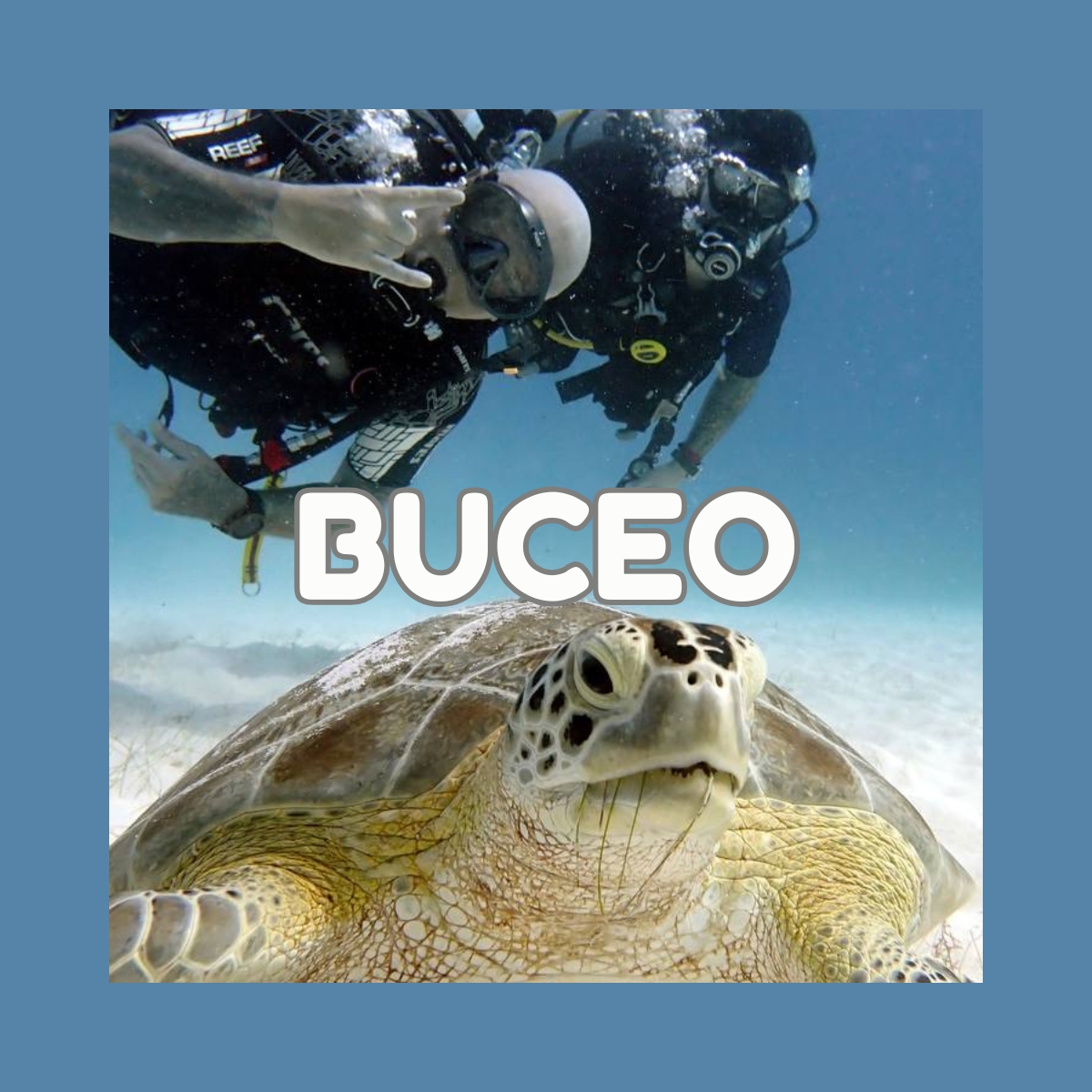 Buceo
