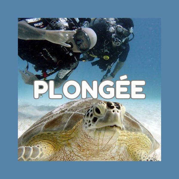 Plongée