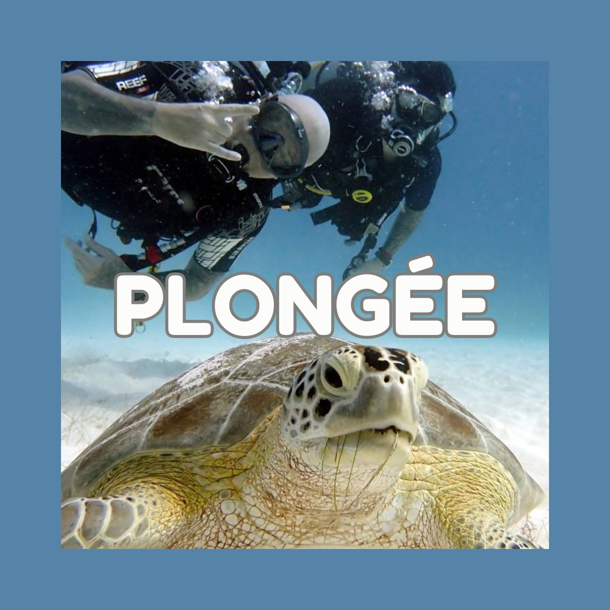 Plongée
