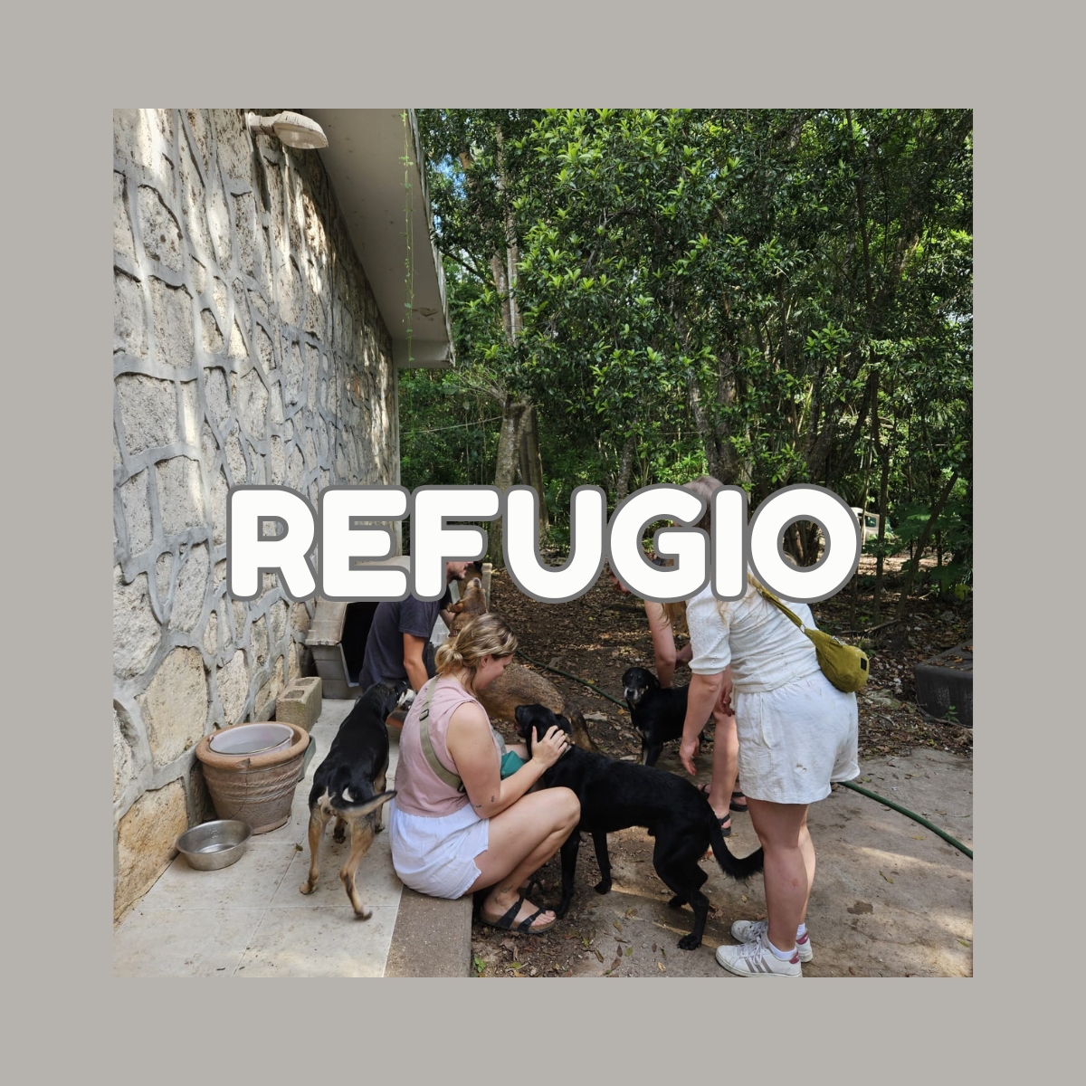Refugio